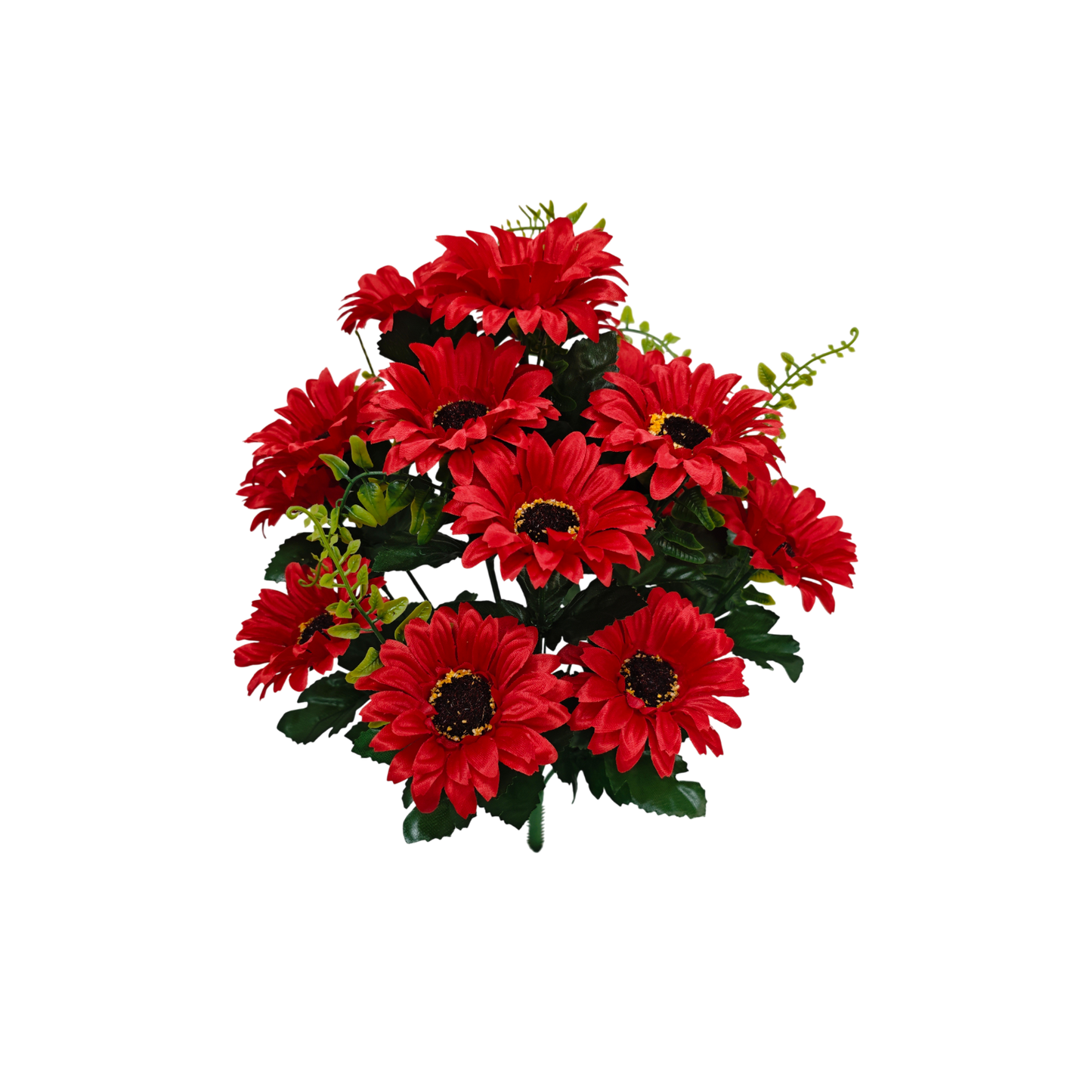 Daisy Bush, Red #2