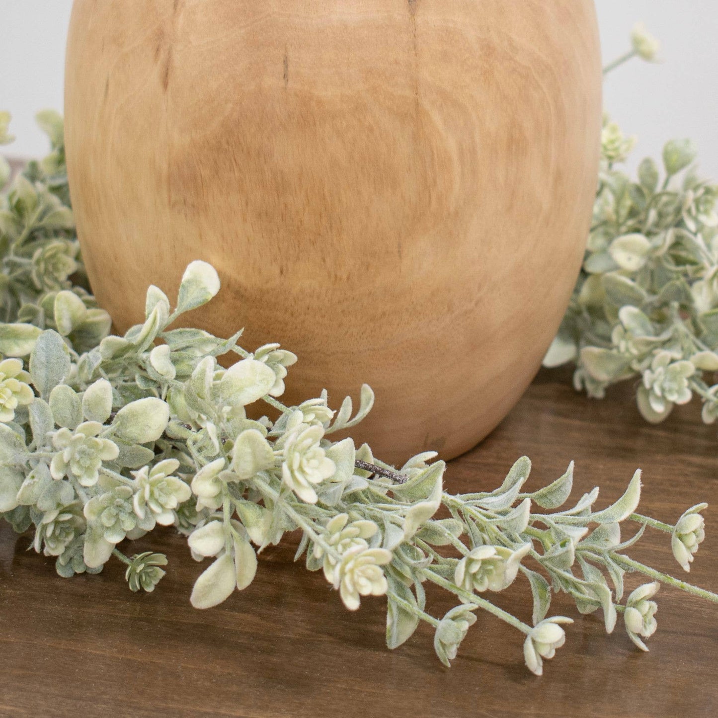 White Star Lavender Buds Hanging Bush