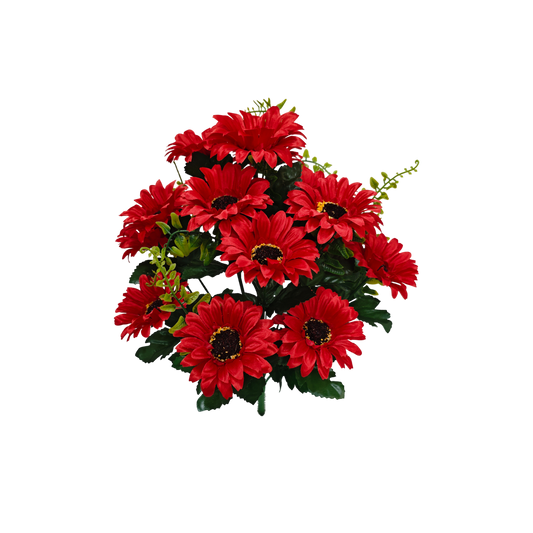 Daisy Bush, Red #2