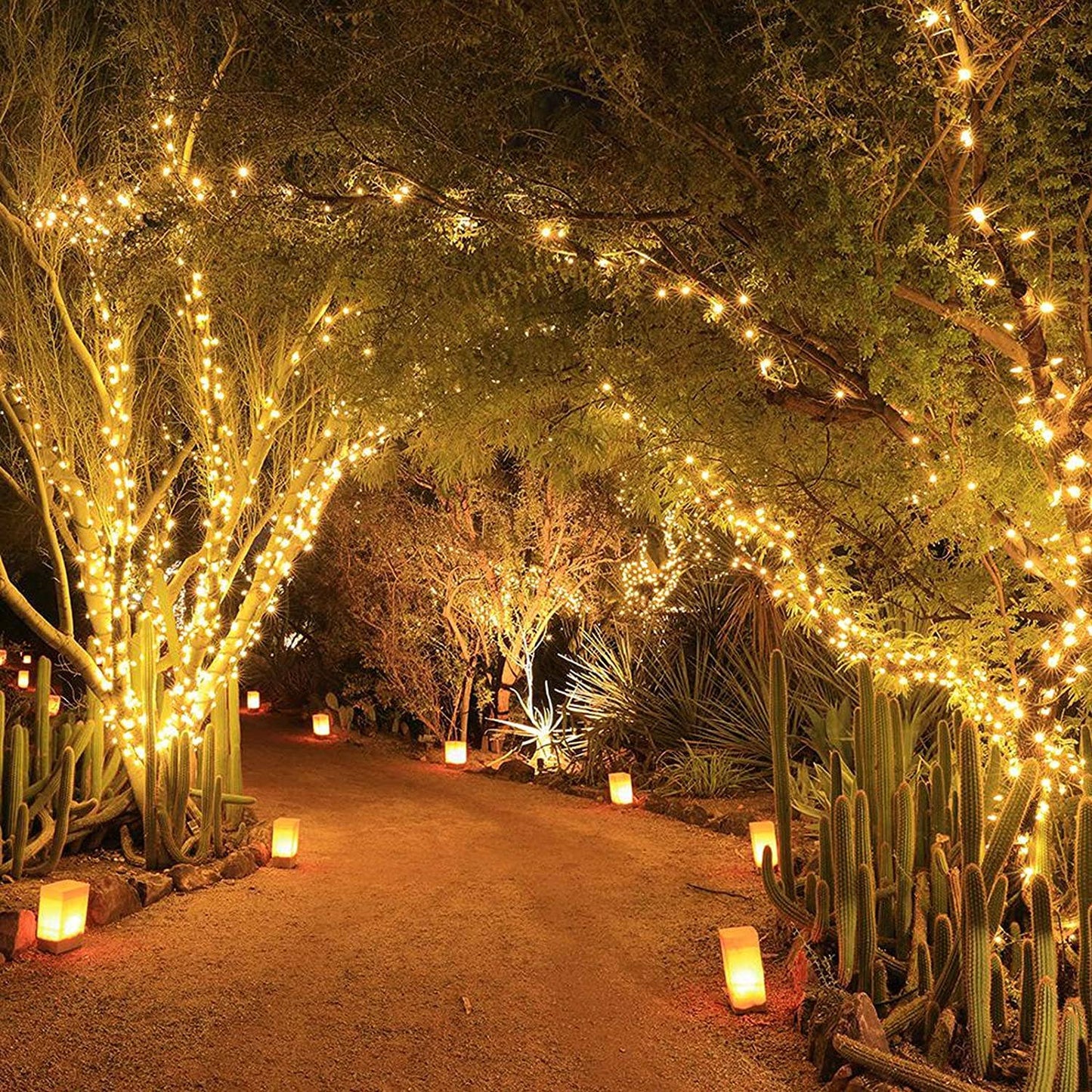 200 LED Solar Green Cable Solar String Lights - Warm White