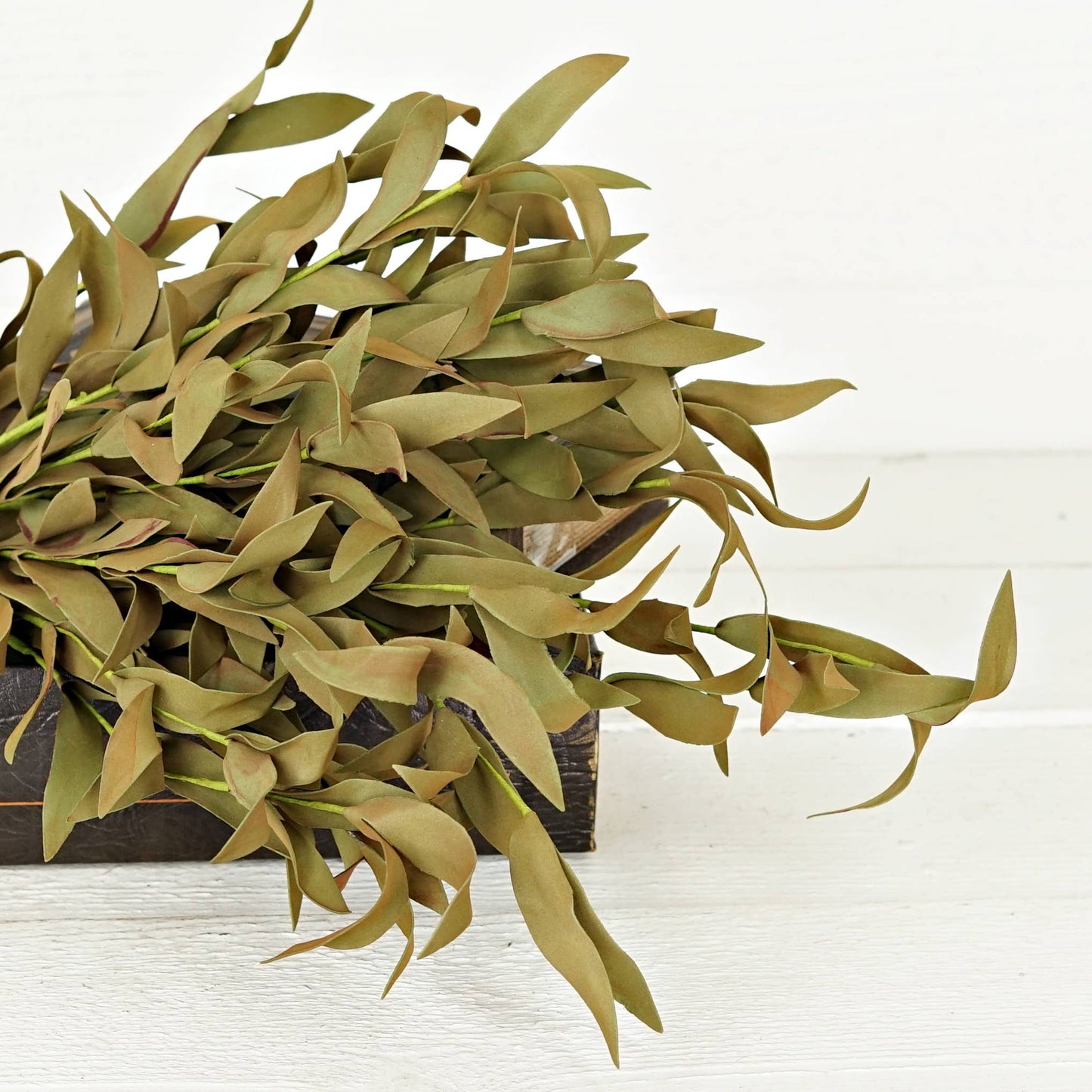 550239-21" Bush-Sage Herb Leaves