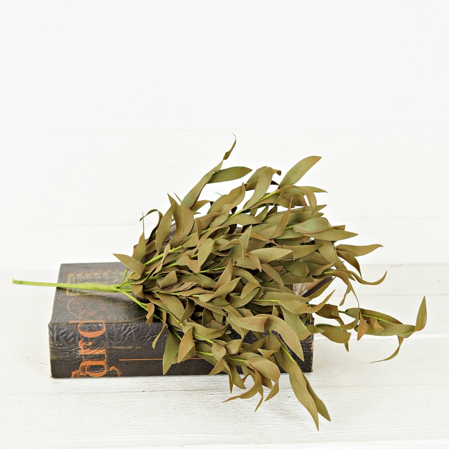 550239-21" Bush-Sage Herb Leaves