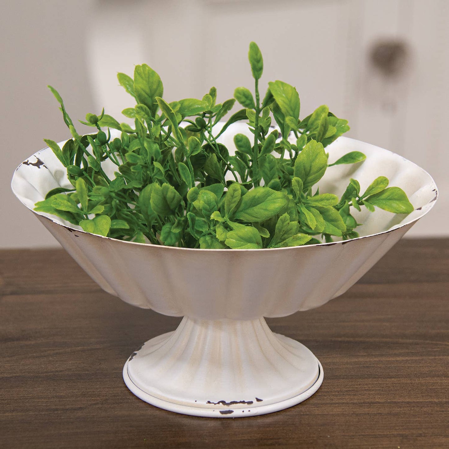 Fresh Sprouted English Boxwood Candle Ring - 1"