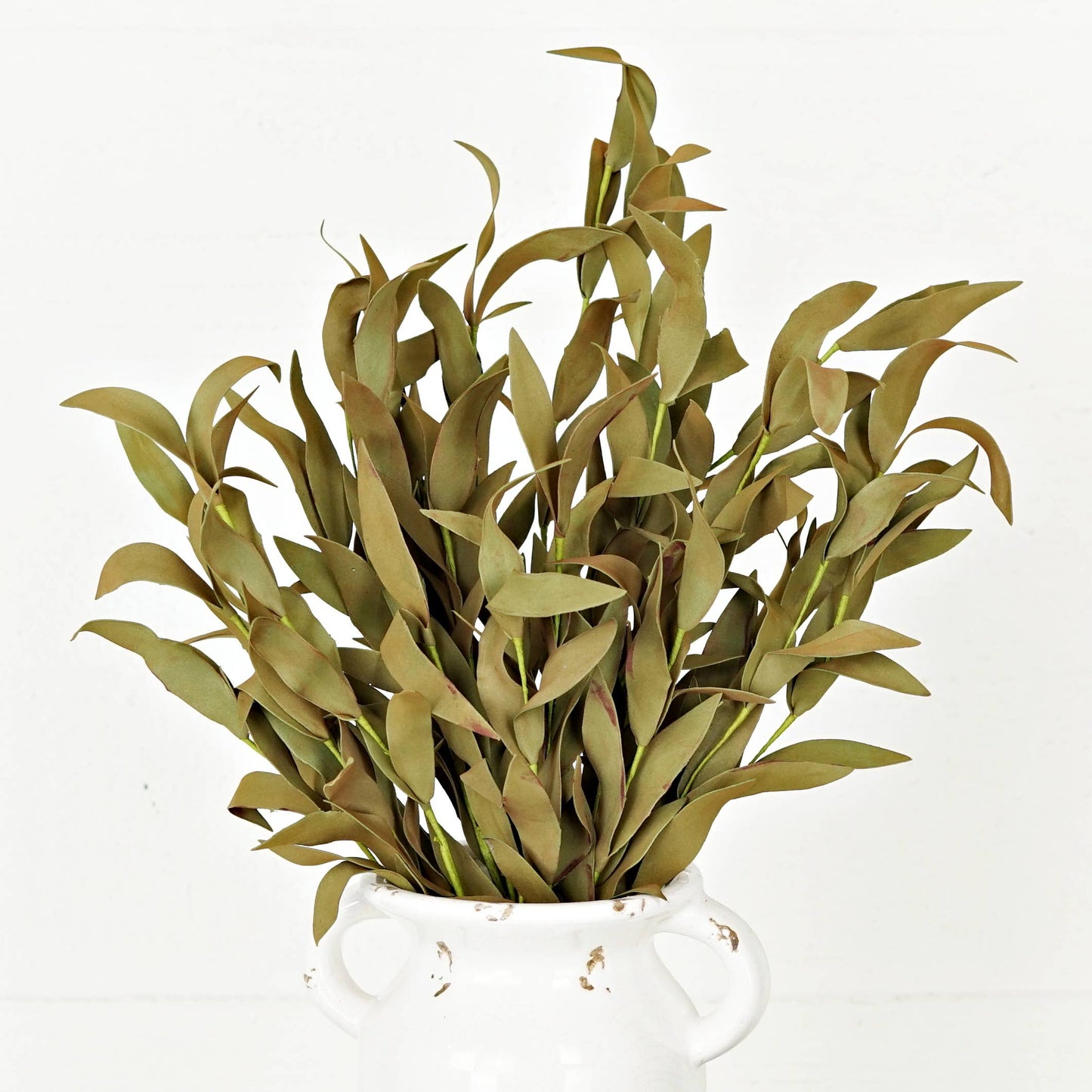 550239-21" Bush-Sage Herb Leaves