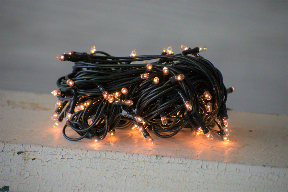 100 Bulb Primitive Rice String Light 19.5 ft Green Cord