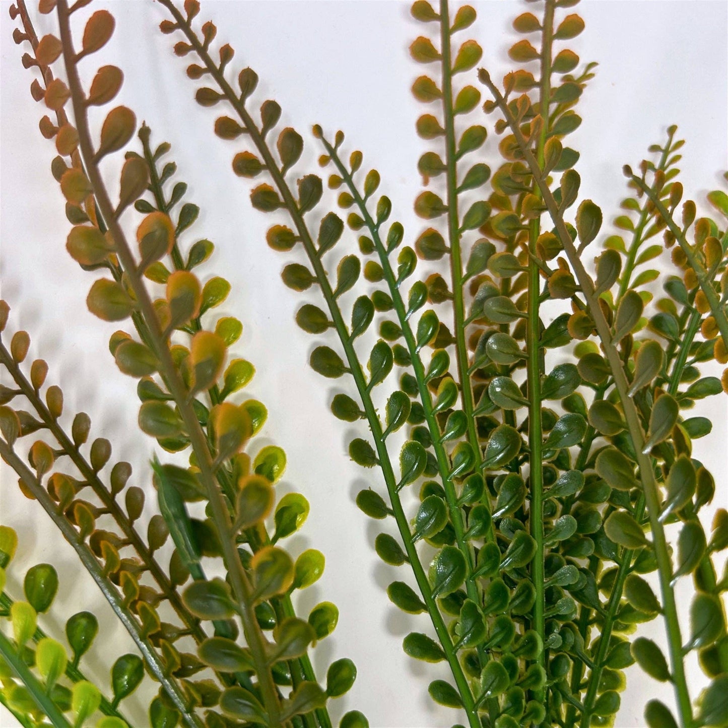 Button Leaf Grass x5 - Earth Green