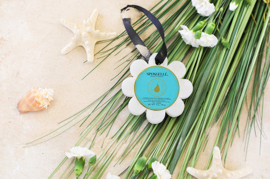 Beach Grass Wild Flower | Coastal Gifts | Clean | Vegan 