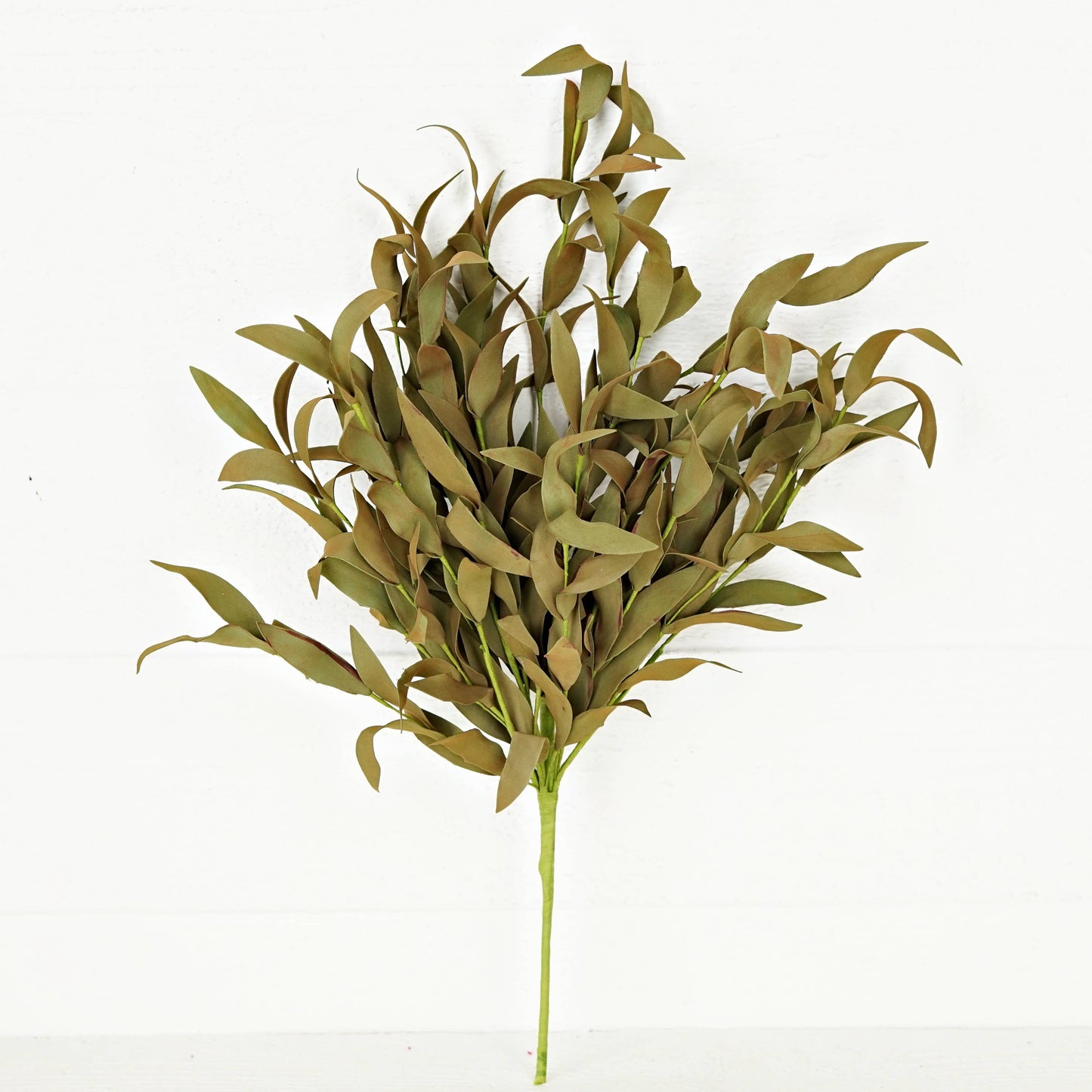 550239-21" Bush-Sage Herb Leaves