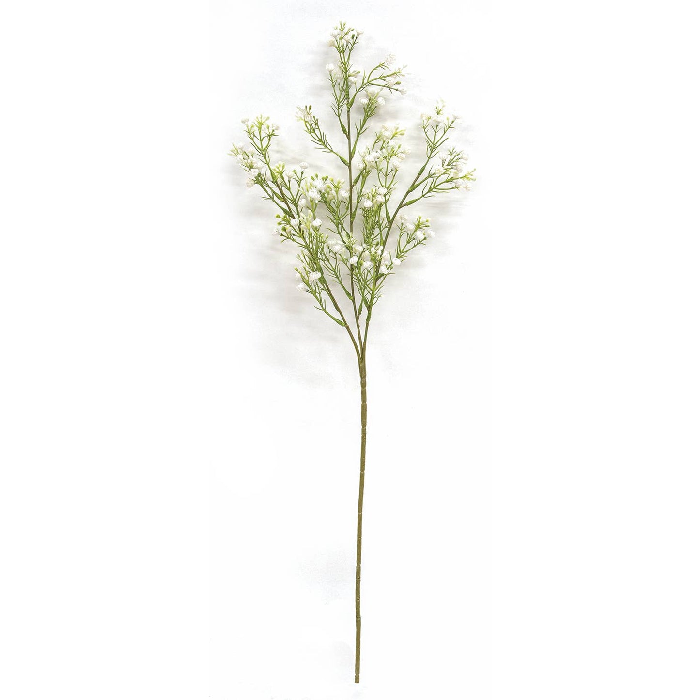 Wispy Baby's Breath Spray - 25.5"H